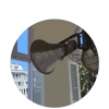 announcements-removebg-preview
